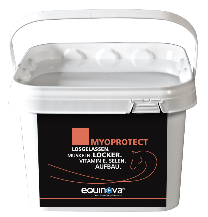 equinova Myoprotect Powder